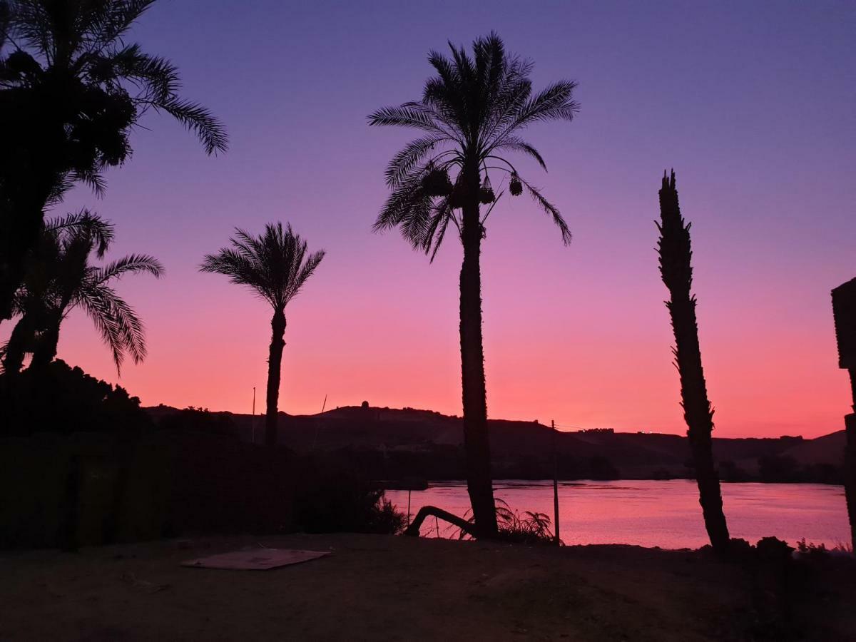Basmatic Nubian Guest House Ασουάν Εξωτερικό φωτογραφία